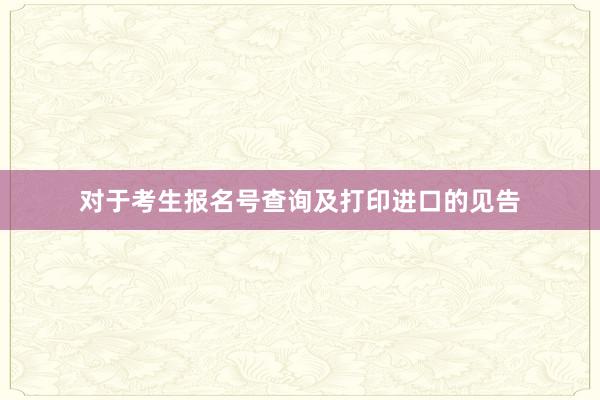 对于考生报名号查询及打印进口的见告