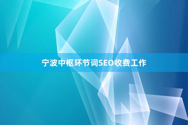 宁波中枢环节词SEO收费工作