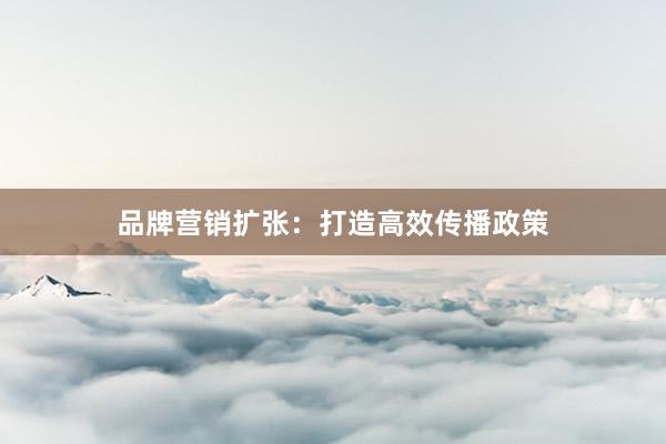 品牌营销扩张：打造高效传播政策