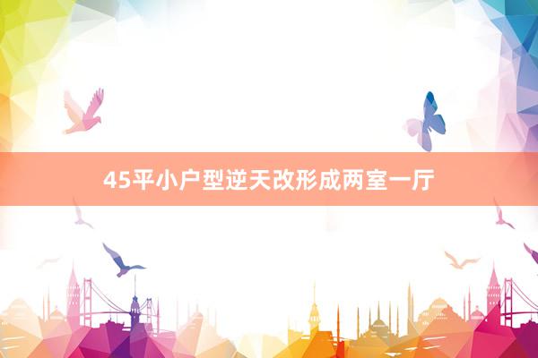 45平小户型逆天改形成两室一厅