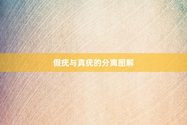 假疣与真疣的分离图解