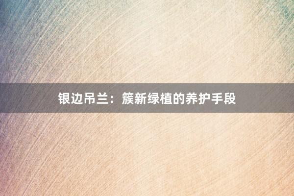 银边吊兰：簇新绿植的养护手段